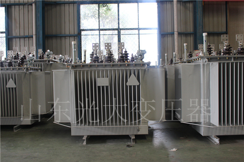 环翠S20-500KVA/10KV